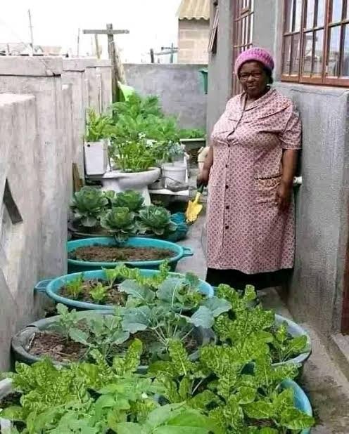 A woman caring for her backyard garden