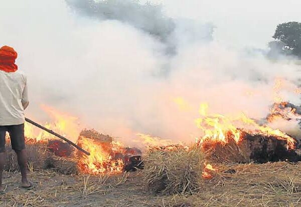 Farmer burning agricultural waste in a field.