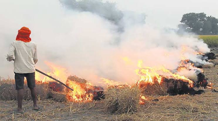 Farmer burning agricultural waste in a field.