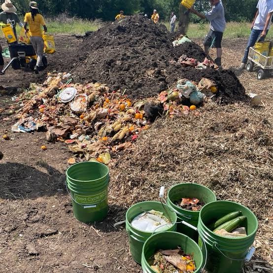 A large compost pile surrounded by various organic waste materials such as fruit, vegetables, and other food scraps. Several green buckets filled with organic debris are placed in the foreground, while people are actively adding materials to the pile in the background.