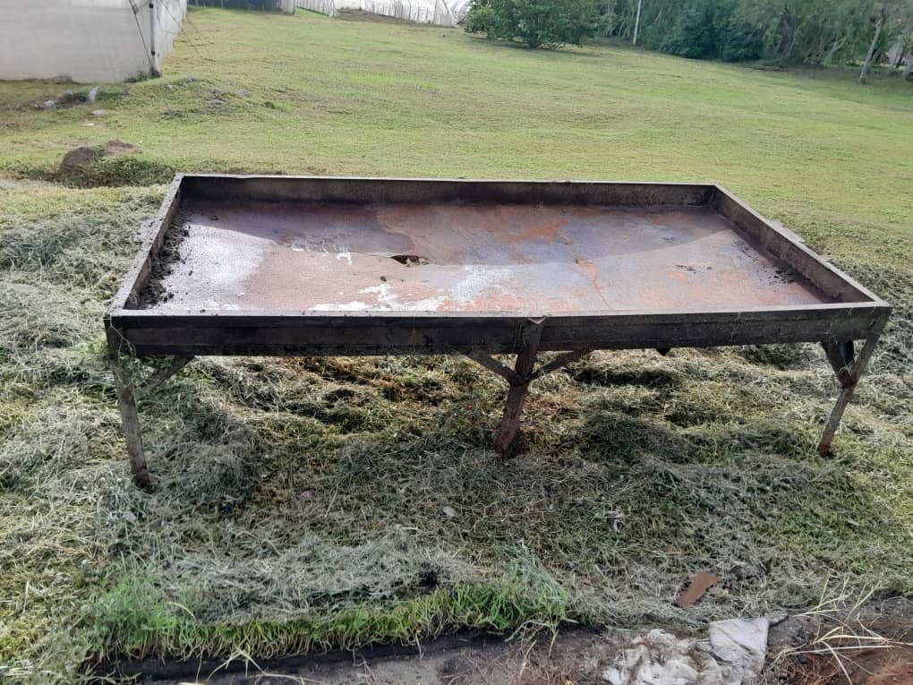 A large rectangular metal pan with a rusted surface, supported by a metal and wooden frame, used for frying sand before farming. It is set outdoors on grassy ground near a greenhouse.